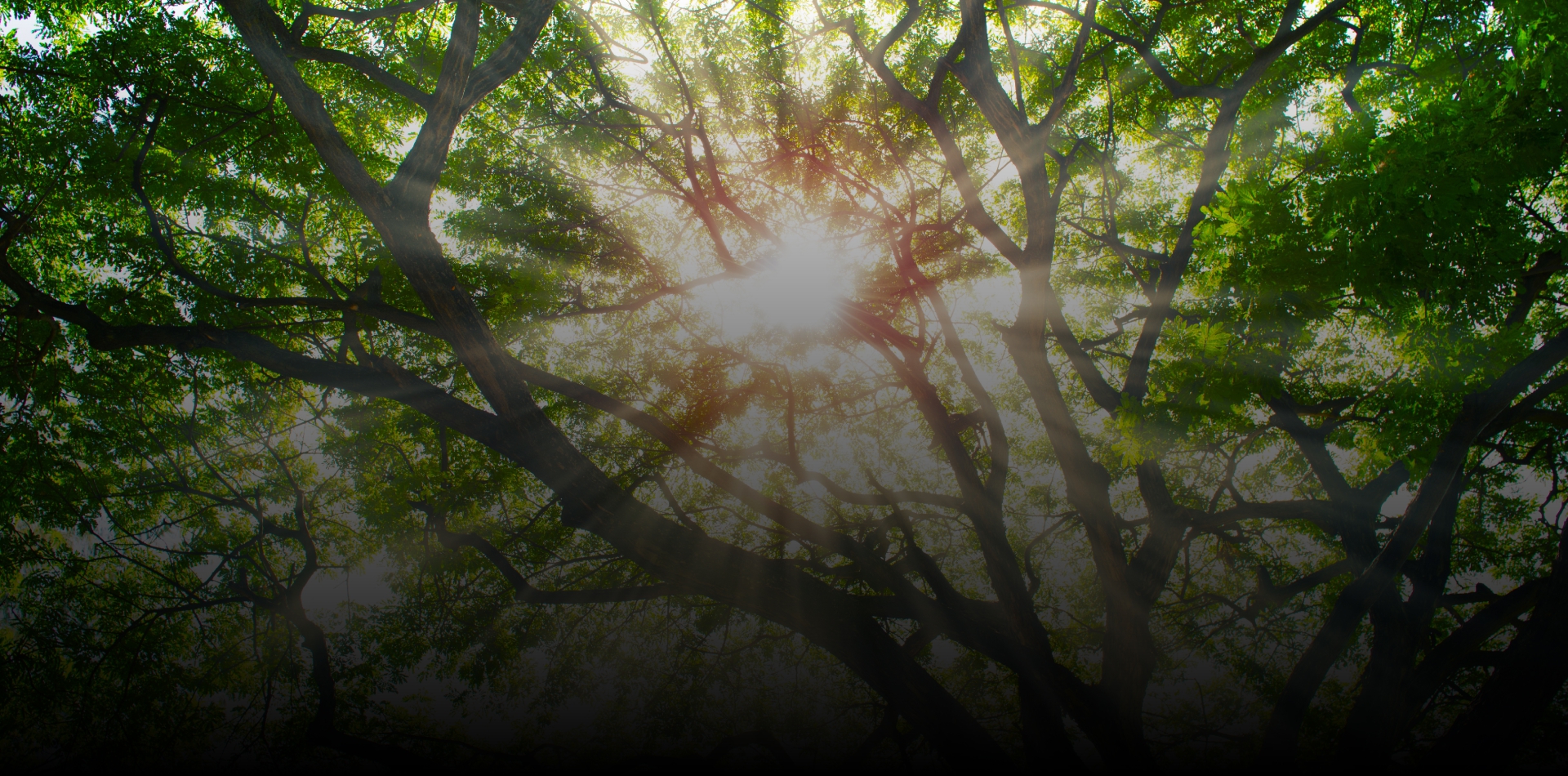 上緯國際 CSR報告書設計